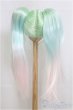 画像2: 9-10inch/ウィッグ　ツーテール/インチ　BJD　MJD　ドール用 I-25-07-27-113-KD-ZI (2)