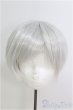 画像1: 8-9inch/ウィッグ/インチ　BJD　MJD　ドール用 I-25-07-27-117-KD-ZI (1)