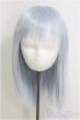 画像1: 8-9inch/ウィッグ：ロンシュカ様　レディセミロング/インチ　BJD　MJD　ドール用 I-25-07-27-106-KD-ZI (1)