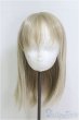 画像1: 8-9inch/ウィッグ：ロンシュカ様　レディセミロング/インチ　BJD　MJD　ドール用 I-25-07-27-110-KD-ZI (1)