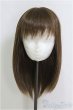 画像1: 8-9inch/ウィッグ：ロンシュカ様　レディセミロング/インチ　BJD　MJD　ドール用 I-25-07-27-109-KD-ZI (1)