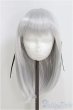 画像1: 8-9inch/ウィッグ：ロンシュカ様/インチ　BJD　MJD　ドール用 I-25-07-27-111-KD-ZI (1)