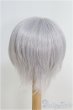 画像2: 9-10inch/ウィッグ/インチ　BJD　MJD　ドール用 I-25-07-27-103-KD-ZI (2)