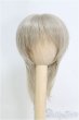 画像1: 6-7inch/ウィッグ/インチ　BJD　MJD　ドール用 I-25-07-27-119-SK-ZI (1)