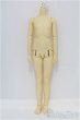 画像1: SD男の子ボディ/BJD　球体関節人形 I-25-07-27-252-KD-ZI (1)
