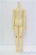 画像2: SD男の子ボディ/BJD　球体関節人形 I-25-07-27-252-KD-ZI (2)