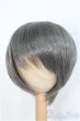 画像1: 8-9inch/ウィッグ　BJD　MJD　ドール用 I-25-07-27-393-KD-ZI (1)