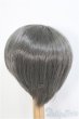 画像2: 8-9inch/ウィッグ　BJD　MJD　ドール用 I-25-07-27-393-KD-ZI (2)