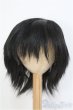 画像1: 8-9inch/ウィッグ　BJD　MJD　ドール用 I-25-07-27-391-KD-ZI (1)
