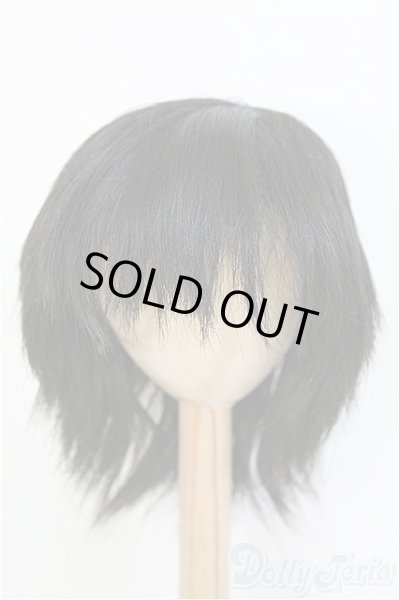 画像1: 8-9inch/ウィッグ　BJD　MJD　ドール用 I-25-07-27-391-KD-ZI (1)
