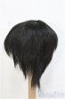 画像2: 8-9inch/ウィッグ　BJD　MJD　ドール用 I-25-07-27-391-KD-ZI (2)