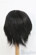 画像3: 8-9inch/ウィッグ　BJD　MJD　ドール用 I-25-07-27-391-KD-ZI (3)