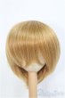 画像1: 9-10inch/ウィッグ　BJD　MJD　ドール用 I-25-07-27-395-KD-ZI (1)