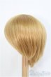 画像2: 9-10inch/ウィッグ　BJD　MJD　ドール用 I-25-07-27-395-KD-ZI (2)