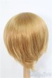 画像3: 9-10inch/ウィッグ　BJD　MJD　ドール用 I-25-07-27-395-KD-ZI (3)