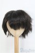 画像1: 8-9inch/ウィッグ　BJD　MJD　ドール用 I-25-07-27-390-KD-ZI (1)