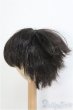 画像2: 8-9inch/ウィッグ　BJD　MJD　ドール用 I-25-07-27-390-KD-ZI (2)