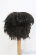 画像3: 8-9inch/ウィッグ　BJD　MJD　ドール用 I-25-07-27-390-KD-ZI (3)