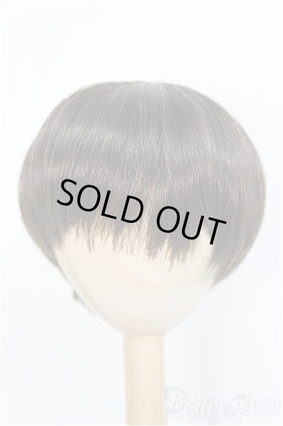 画像1: 8-9inch/ウィッグ　BJD　MJD　ドール用 I-25-07-27-392-KD-ZI (1)