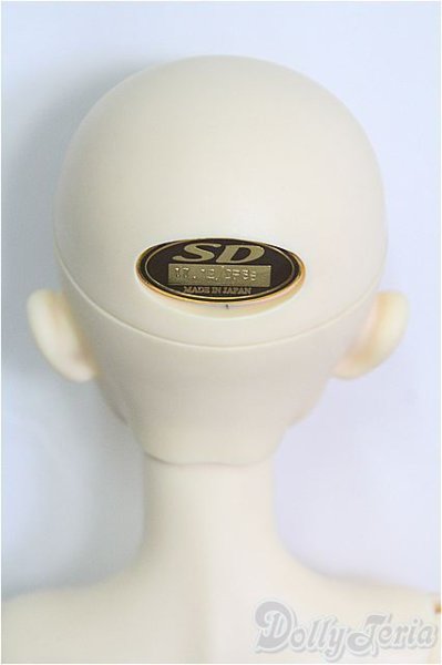 画像4: SDB/ミシェル 星間学寮Ver./BJD　球体関節人形 I-25-11-02-382-KD-ZI (4)