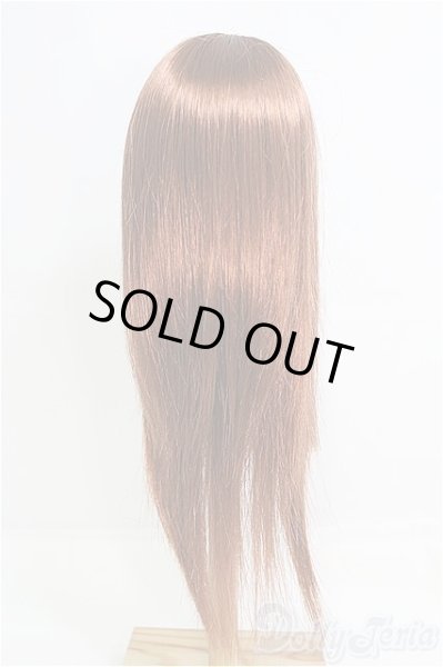 画像2: 9-10inch/ウィッグ/インチ　BJD　MJD　ドール用 I-25-08-17-244-KD-ZI (2)