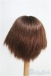 画像2: 9-10inch/ウィッグ/インチ　BJD　MJD　ドール用 I-25-08-17-245-KD-ZI (2)