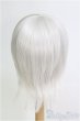 画像2: 9-10inch/ウィッグ：BJD　CROBI製 I-25-08-10-226-KD-ZI (2)