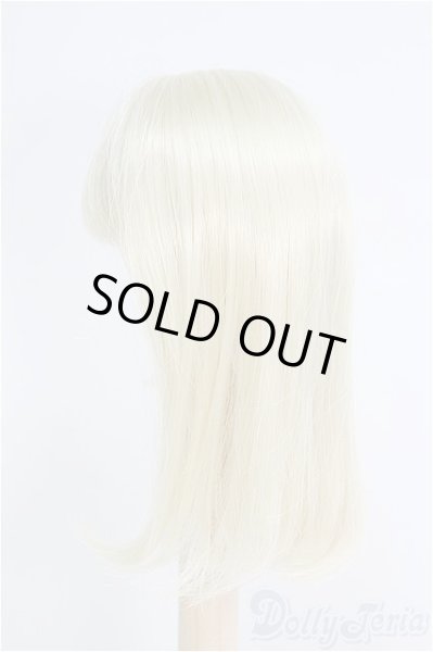 画像3: 6.5-7inch/ウィッグ　DOLKセレクト/インチ　BJD　MJD　ドール用 I-25-08-17-148-KD-ZI (3)