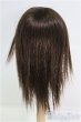 画像2: 7-8inch/ウィッグ/インチ　BJD　MJD　ドール用 I-25-08-17-149-KD-ZI (2)