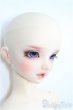 画像4: SD13女の子/フルチョイス:F-63/BJD　球体関節人形 I-25-08-17-100-KD-ZI (4)