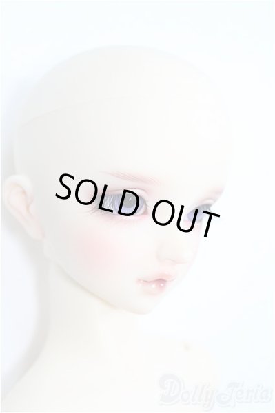 画像4: SD13女の子/フルチョイス:F-63/BJD　球体関節人形 I-25-08-17-100-KD-ZI (4)