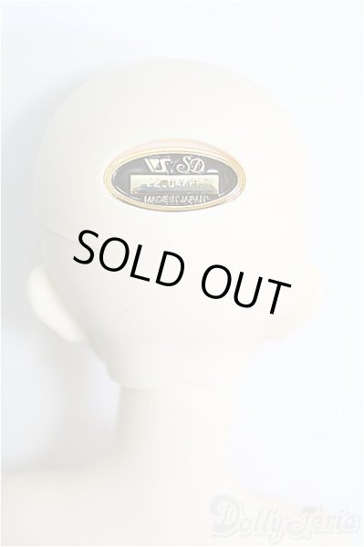 画像5: SD13女の子/フルチョイス:F-63/BJD　球体関節人形 I-25-08-17-100-KD-ZI (5)