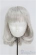 画像1: 8-9inch/ウィッグ/インチ　BJD　MJD　ドール用 I-25-08-17-124-KD-ZI (1)