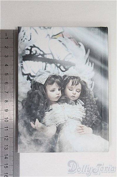 画像2: 恋月姫/ミニチュア製本/0 I-25-08-17-203-KD-ZI (2)