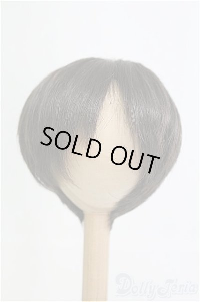 画像1: 9-10inch/ウィッグ CROBI/インチ　BJD　MJD　ドール用 I-25-08-17-251-KD-ZI (1)