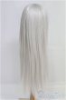 画像2: 9-10inch/ウィッグ CROBI/インチ　BJD　MJD　ドール用 I-25-08-17-257-KD-ZI (2)
