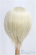 画像2: 9-10inch/ウィッグ CROBI/インチ　BJD　MJD　ドール用 I-25-08-17-253-KD-ZI (2)