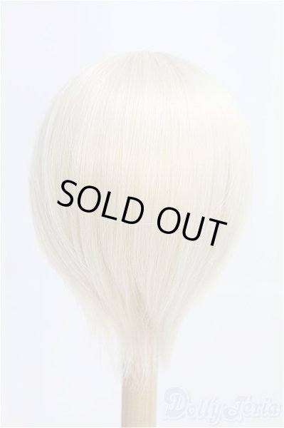 画像2: 9-10inch/ウィッグ CROBI/インチ　BJD　MJD　ドール用 I-25-08-17-253-KD-ZI (2)