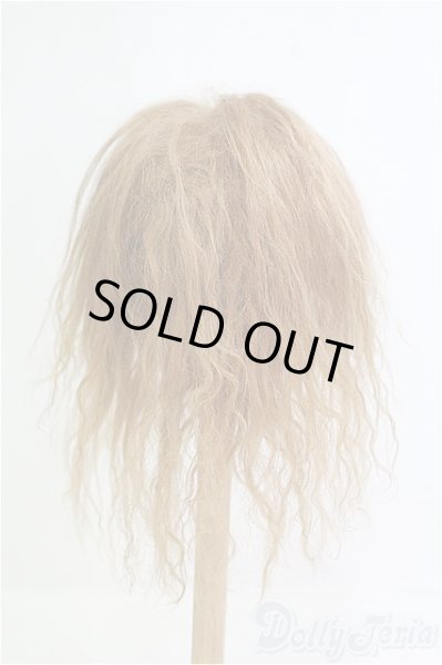 画像2: 9-10inch/モヘアウィッグ/インチ　BJD　MJD　ドール用 I-25-08-17-254-KD-ZI (2)