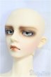 画像3: SD17BOY/ウィリアムズ　銀貨の誓い　The young Ensign/BJD　球体関節人形 I-25-09-28-203-KD-ZI (3)