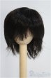画像1: 6-7inch/ウィッグ I-25-08-24-091-KD-ZI (1)