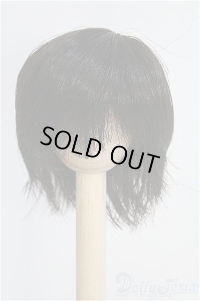 画像1: 6-7inch/ウィッグ I-25-08-24-091-KD-ZI (1)