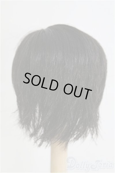 画像2: 6-7inch/ウィッグ I-25-08-24-091-KD-ZI (2)