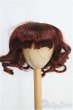 画像1: 8-9inch/ウィッグ I-25-08-24-100-KD-ZI (1)
