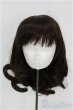 画像1: 8-9inch/ウィッグ　for my doll I-25-08-24-145-KD-ZI (1)