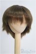 画像1: 7-8inch/ウィッグ I-25-08-24-239-KD-ZI (1)