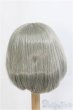 画像2: 9inch/ウィッグ：インソムニア製/インチ　BJD　MJD　ドール用 I-25-08-31-119-KD-ZI (2)