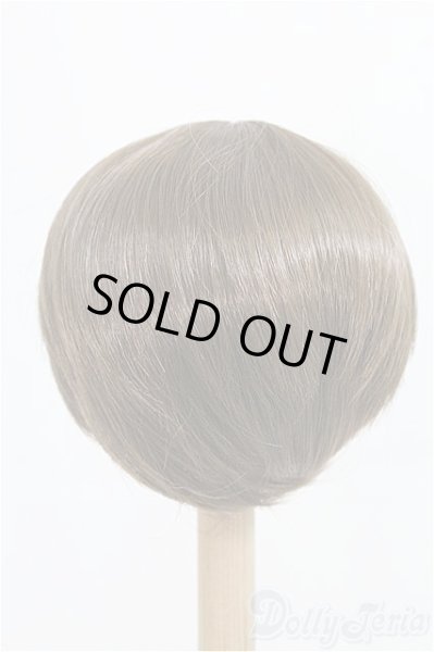 画像2: 9inch/ウィッグ：インソムニア製/インチ　BJD　MJD　ドール用 I-25-08-31-121-KD-ZI (2)