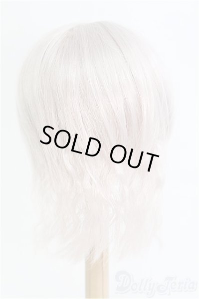 画像2: 8inch/ウィッグ I-25-08-24-350-KD-ZI (2)