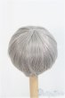 画像2: 7-8inch/ウィッグ DOLK SELECT/インチ　BJD　MJD　ドール用 I-25-08-31-106-KD-ZI (2)